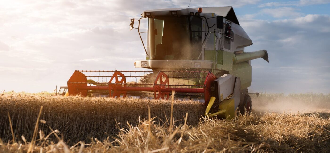 Wheat Posts Monday Losses | Nasdaq